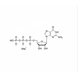 鳥苷三磷酸溶液GTP,100mM Sodium Salt Solution（100 mM）鳥苷三磷酸溶液（100 mM）