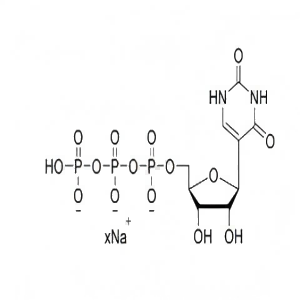 假尿苷三磷酸溶液pUTP,100mM Sodium Salt Solution（100 mM）假尿苷三磷酸溶液（100 mM）