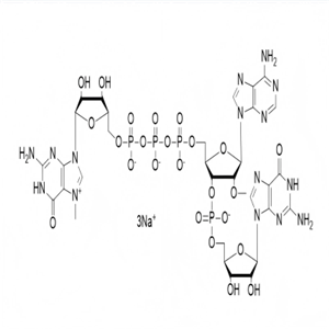 GAG帽类似物100 mM铵盐溶液GAG Cap,100mM Ammonium Salt  Solution，m7G(5')ppp(5")(2'0MeA)pG Ammonium Salt