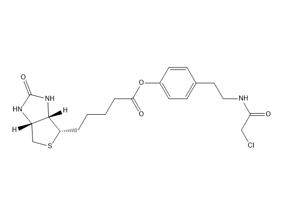 4-(2-(2-chloroacetamido)ethyl)phenyl 5-((3aS,4S,6aR)-2-oxohexahydro-1H-thieno[3,4-d]imidazol-4-yl)pentanoate,4-(2-(2-chloroacetamido)ethyl)phenyl 5-((3aS,4S,6aR)-2-oxohexahydro-1H-thieno[3,4-d]imidazol-4-yl)pentanoate