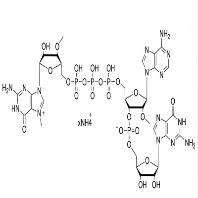 (3'0Me)GAG帽類似物,3'OMe-GAG Cap,100mM Ammonium Salt  Solution