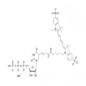 CY5-UTP 10mM 溶液,CY5-UTP 10mM solution