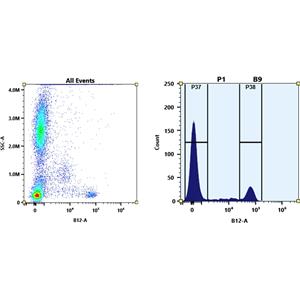 iFluor 720琥珀酰亞胺酯,iFluor? 720 succinimidyl ester