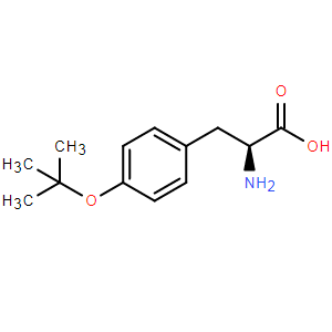 O-叔丁基-L-酪氨酸