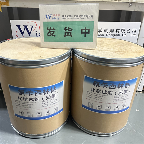 氨芐西林鈉,Ampicillin Sodium
