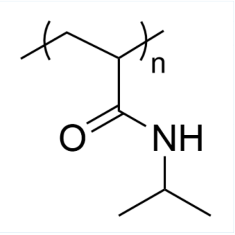 聚（N-異丙基丙烯酰胺）,POLY(N-ISOPROPYL ACRYLAMIDE)