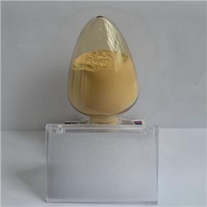 二氯二氨合鈀,Dichloro(diammine)palladium