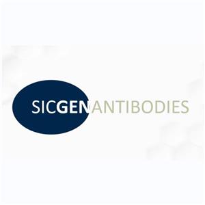 维百奥生物代理SICGEN Antibodies全系列抗体产品