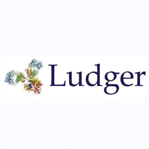 维百奥生物代理Ludger产品