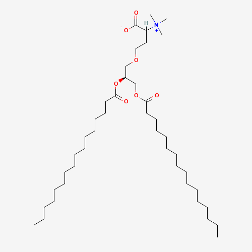 1,2-二棕櫚酰-sn-甘油-3-O-4’-(N,N,N-三甲基)-高絲氨酸,1,2-dipalmitoyl-sn-glycero-3-O-4’-(N,N,N-trimethyl)-homoserine