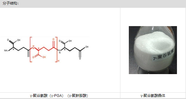 聚谷氨酸,PGA