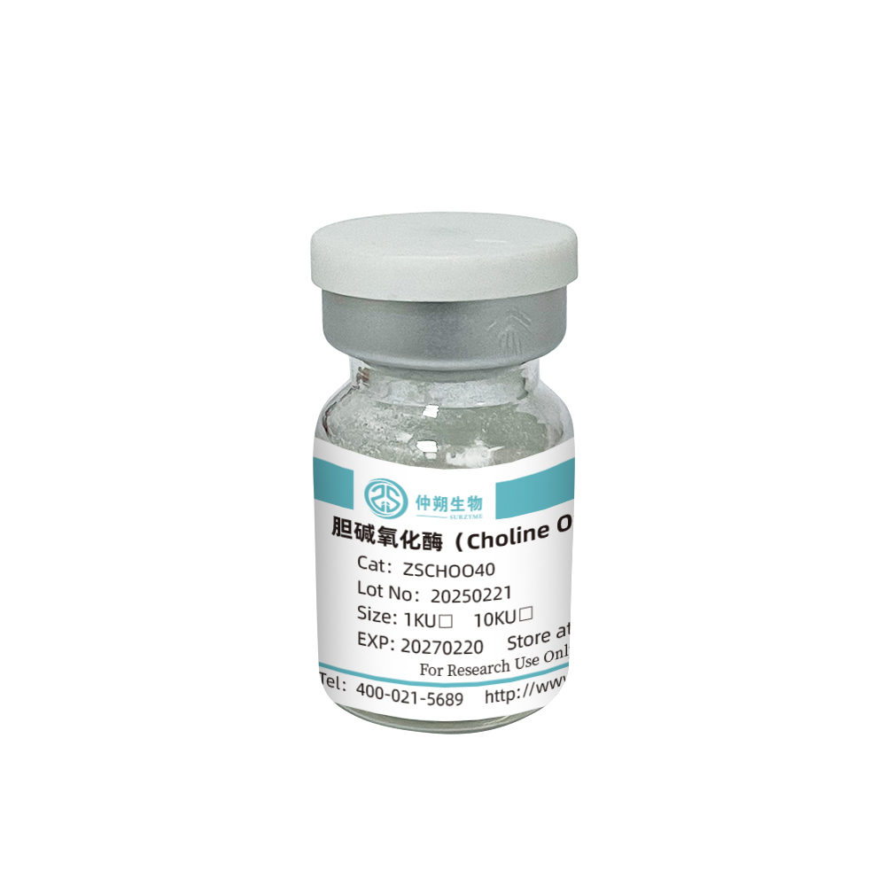 膽堿氧化酶,Oxidase choline   Choline dehydrogenase