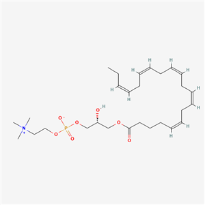 1-EPA-2-OH-sn-glycerol-3-phosphocholine (dry ice),1-EPA-2-OH-sn-glycerol-3-phosphocholine (dry ice)