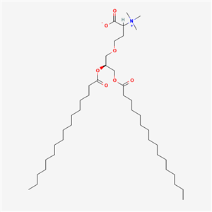 1,2-二棕櫚酰-sn-甘油-3-O-4’-(N,N,N-三甲基)-高絲氨酸  賽可銳 現(xiàn) 貨