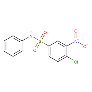 4-氯-3-硝基-N-苯基苯磺酰胺137-49-5