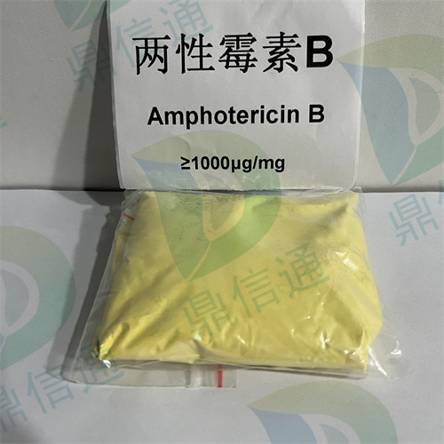 两性霉素B,Amphotericin B