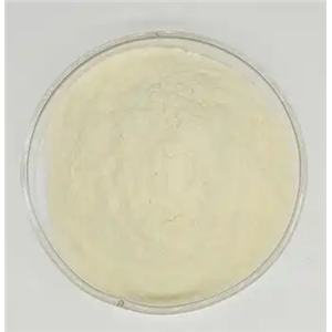 2-甲氨基-5-氯二苯甲酮,5-Chloro-2-(methylamino)benzophenone