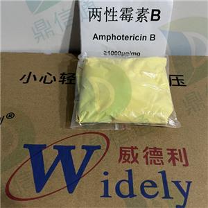 两性霉素B,Amphotericin B