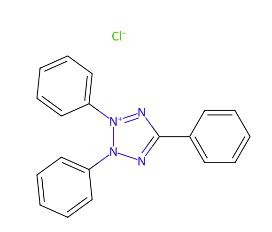 紅四氮唑,Tetrazolium Red