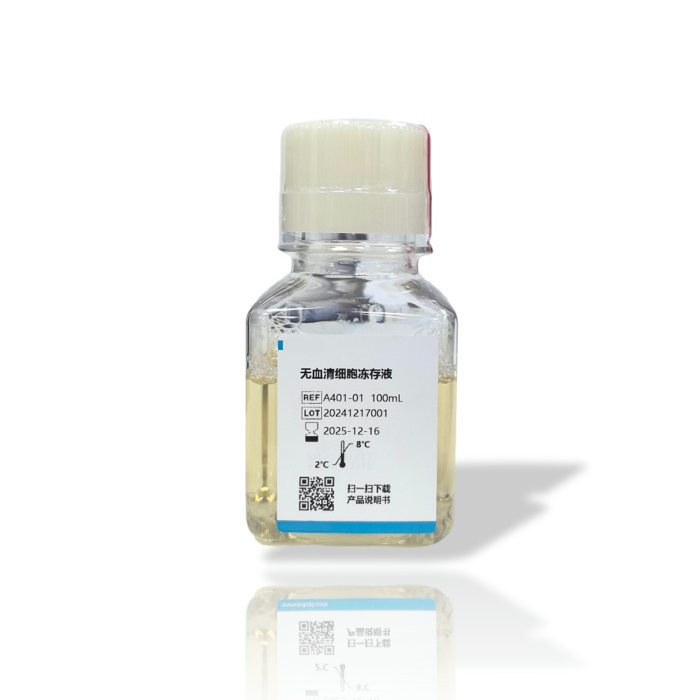 間充質(zhì)干細(xì)胞 MSC 外泌體專用無血清培養(yǎng)基,Specialized serum-free culture medium for mesenchymal stem cell MSC exosomes