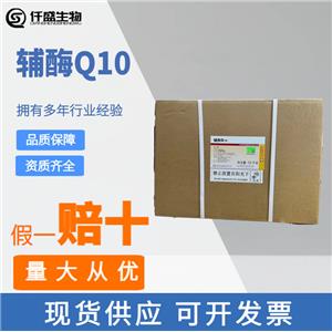 輔酶Q10,Coenzyme Q10