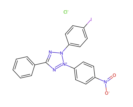 碘硝基四唑紫,Iodonitrotetrazolium chloride