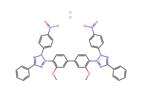 氯化硝基四氮唑藍(lán),Nitro blue tetrazolium chloride (NBT)