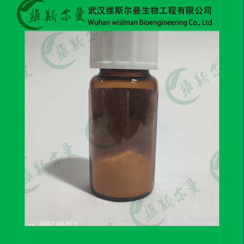 維利帕尼,Veliparib