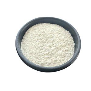 車前籽膠,Psyllium