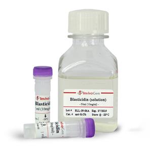 Blasticidin (10 mg/ml solution)(InvivoGen ant-bl-05 )