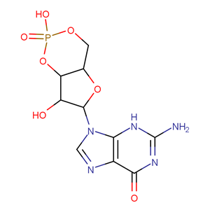 鸟苷3',5'-环一磷酸