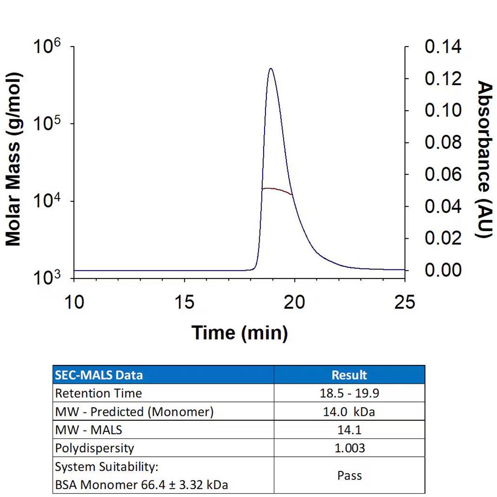 Recombinant Human GM-CSF Protein 10ug(R&D Systems 215-GM/CF)