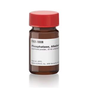 碱性磷酸酶 来源于大肠杆菌 100UNITS(Sigma-Aldrich P5931-100UN)