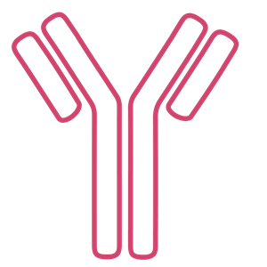 Anti-GPR84 (extracellular)-FITC Antibody(Alomone labs AGR-052-F)