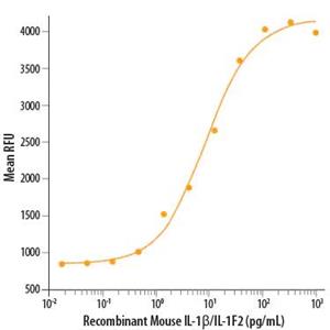 Recombinant Mouse IL-1 beta/IL-1F2 Protein 5ug(R&D Systems 401-ML )