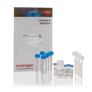 pHrodo Antibody Labeling Kits(Thermo Fisher P35356)