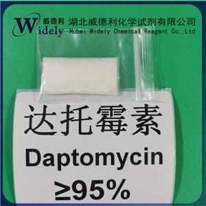 達(dá)托霉素 103060-53-3 Daptomycin