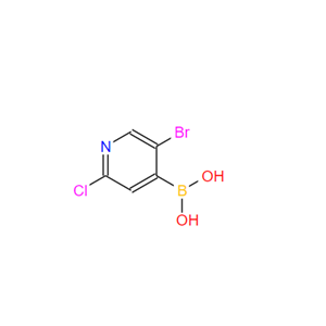 5-溴-2-氯吡啶-4-硼酸871329-63-4