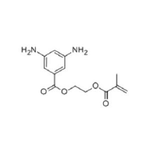 2-(甲基丙烯酸)乙酯3,5-二氨基苯甲