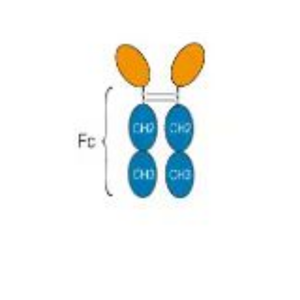 Research Grade Sotatercept  (DHC33102),Research Grade Sotatercept  (DHC33102)