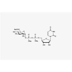 UDP-GlcA.3Na