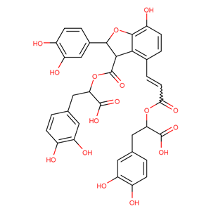 丹酚酸 B   121521-90-2 主打 专业  全国可发  高纯度