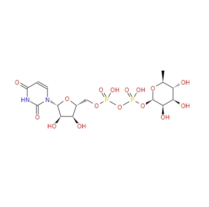尿苷-5'-二磷酸鼠李糖,UDP-rhamnose