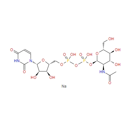 5′-二磷酸尿嘧啶核苷-N-乙酰半乳糖胺二鈉鹽,UDP-ALPHA-D-N-ACETYLGLUCOSAMINE, DISODIUM SAL
