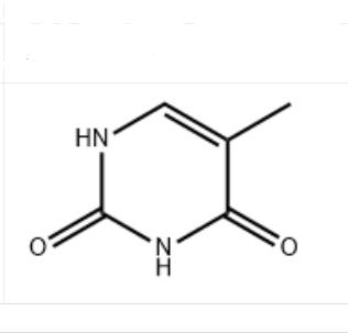 5-甲基尿嘧啶,Thymine