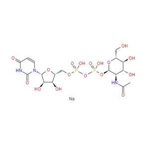 5′-二磷酸尿嘧啶核苷-N-乙酰半乳糖胺二鈉鹽91183-98-1