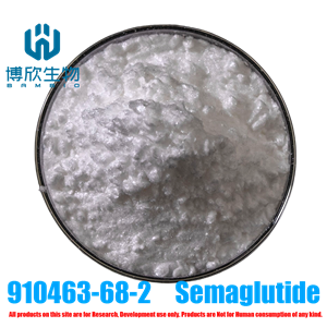 索馬魯肽,Sermaglutide