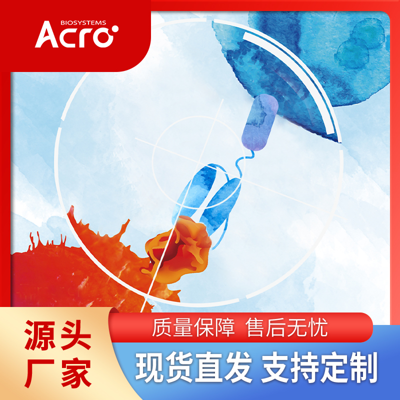 TIE2蛋白,TIE2