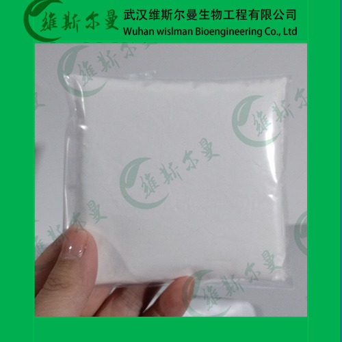 鹽酸帕洛諾司瓊,Palonosetron Hydrochloride