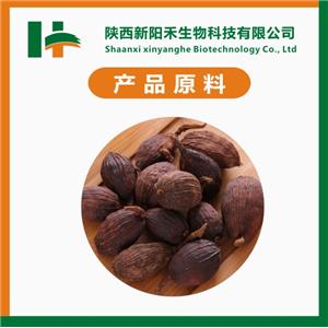 草果提取物,Amomum tsao-ko extract